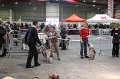 IMG_0113