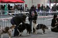 IMG_0119