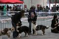 IMG_0121