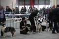 IMG_0124