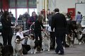 IMG_0128
