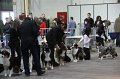 IMG_0130