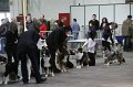 IMG_0131