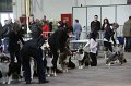 IMG_0132
