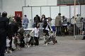 IMG_0135
