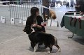 IMG_0139