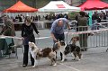 IMG_0140