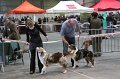 IMG_0141