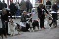 IMG_0150