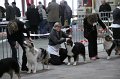 IMG_0151