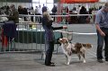 IMG_0162
