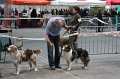 IMG_0163