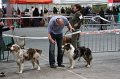 IMG_0164