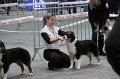 IMG_0169