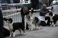 IMG_0171