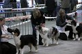 IMG_0172
