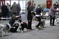 IMG_0178