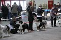 IMG_0179