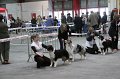 IMG_0184