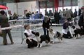 IMG_0185
