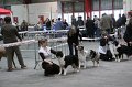 IMG_0186