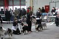 IMG_0188