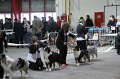 IMG_0189
