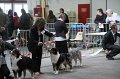 IMG_0190