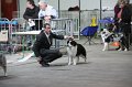 IMG_0191