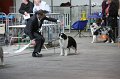 IMG_0194