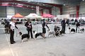 IMG_0195