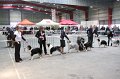 IMG_0196