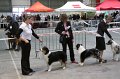 IMG_0198
