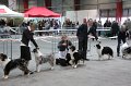 IMG_0202