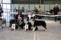 IMG_0221