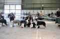 IMG_0225