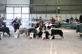 IMG_0226