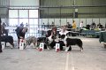 IMG_0227