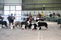 IMG_0228