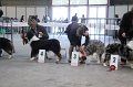 IMG_0231
