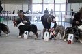 IMG_0232
