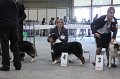 IMG_0234