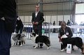 IMG_0239