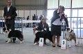 IMG_0241