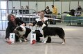IMG_0243