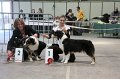 IMG_0244