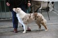 IMG_0269