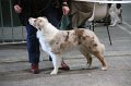 IMG_0270
