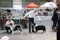 IMG_0271