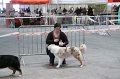 IMG_0273